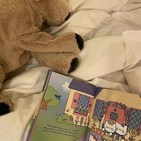 Yの信誉墙🌷