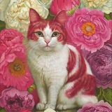 索引排名🌈TG排名🌈电报排名🌹🌹🌹