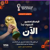 ⚽️🏆⚽️2022年世界杯⚽️🏆⚽️