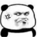 动图gif