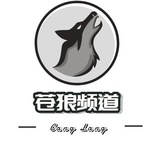 苍狼-中文搜索/导航频道