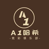 A1哈希 哈希竞猜 哈希游戏 官方代理直招
