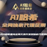 A1哈希招商频道