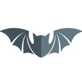 蝙蝠(BAT)云控官方交流群|