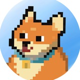 泡泡Dog|专线机场|套餐不过期 | 游戏专线 | 无视晚高峰