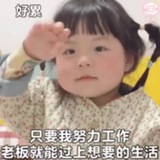 小李子qq上号