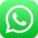 WhatsApp专业频道