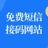 接码 源头 低价
