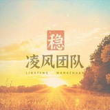 凌风团队拉手交流群