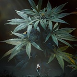 飞行中国
