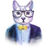 猫总—秘密金融频道