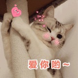 拉手交流群