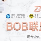 BOB体育官方全网招商代理扶持返佣团队入驻