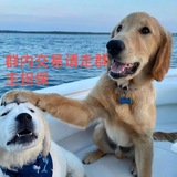 租号建群_群演群拖拉手_灰产业务