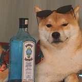 花心犬小池子社区