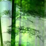 社工接口交流-海量数据分享-共享暗网-教学-催收-WWG-无违规