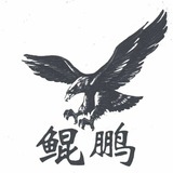 洛接代理。