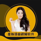 虚拟视频软件 转账生成器