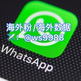 ws出海项目