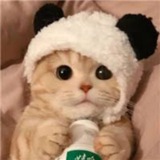 红豆家的：鞋子🎈