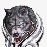 野狼-视频制作 宣传片 教程片