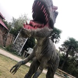 ♻️霸王龙阿里云/华为云国际版账户💹