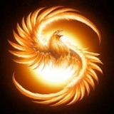 Exchange currency updated daily(每天更新收U汇率)