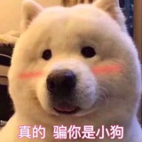 ◤国产偷拍麻豆AV学生◢