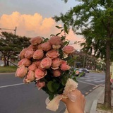 日落买卖群🧸.