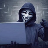 撸货无C贝宝PAYPAL综合群