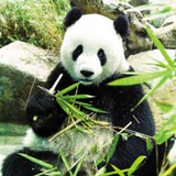话术素材馆交流群
