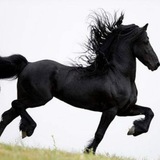 server开源 跳板 kali虚拟镜像