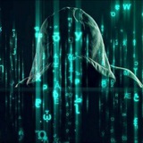 CVV现金通道 ,专业卖JP、 爱我中华