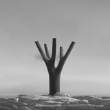 海外数据 | Data Store