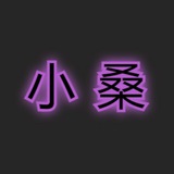 恋爱丨课程