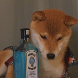 万能分享