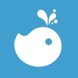 🐳【蓝鲸】信誉一手号商批发微信·QQ·支付宝·企业