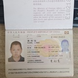 【支付宝代收】