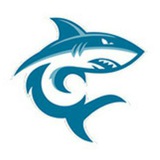 🦈 蓝鲨 www.lan-sha.com 🦈